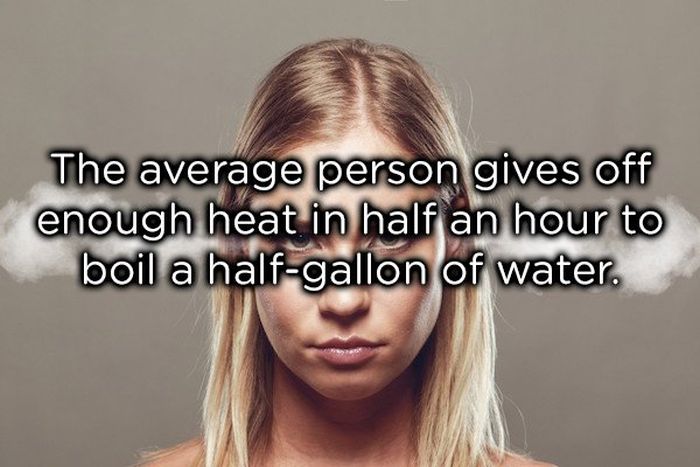 Facts About The Human Body (17 pics)