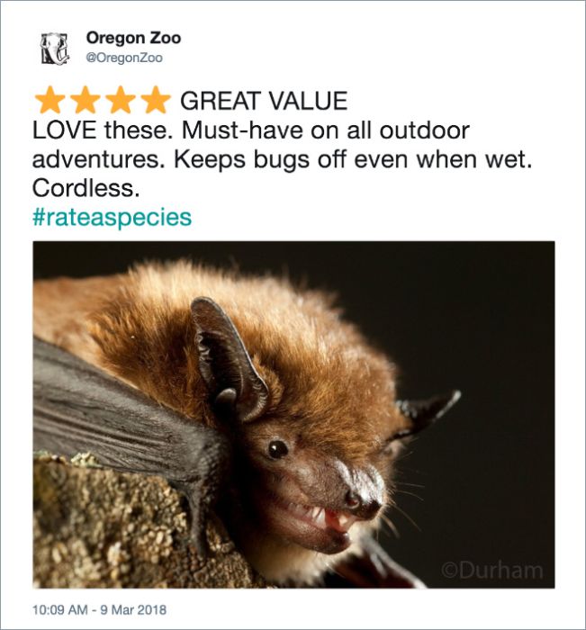 Zoos Tweet Hilarious Amazon-Style Reviews of Their Animals (17 pics)