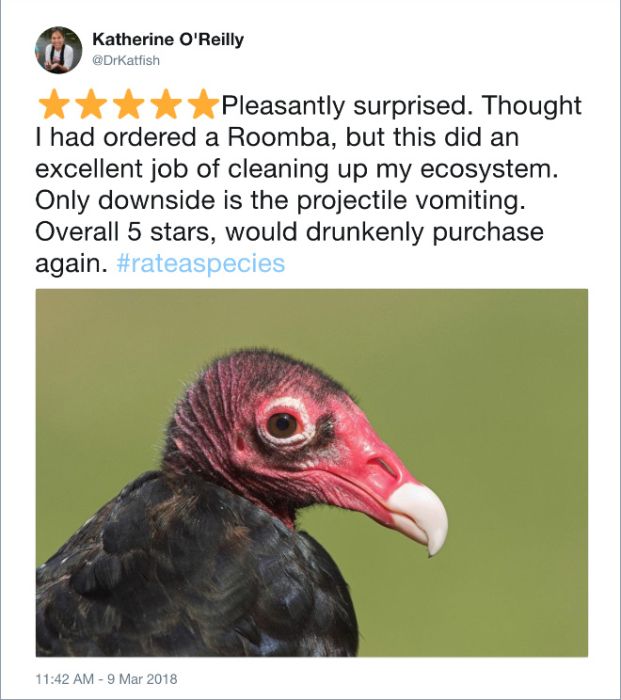 Zoos Tweet Hilarious Amazon-Style Reviews of Their Animals (17 pics)