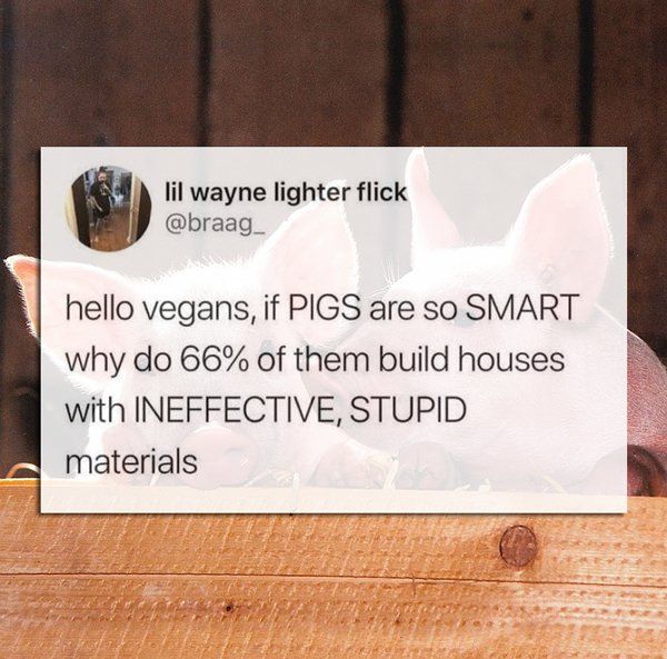 Funny Tweets (27 pics)