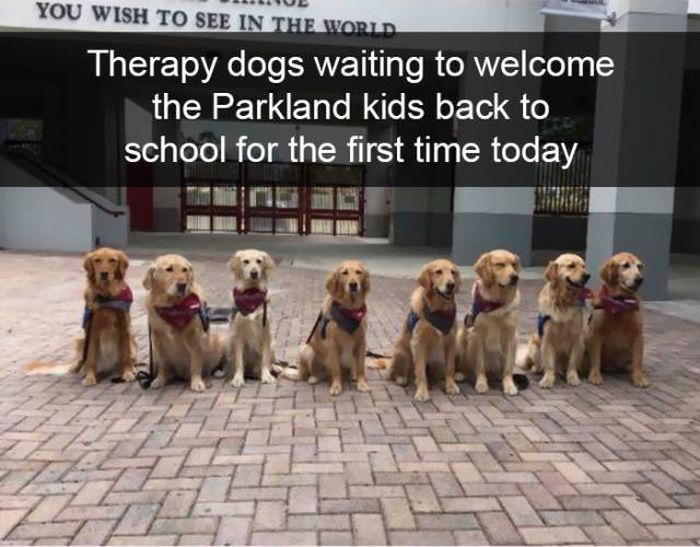 Snapchats About Dogs (46 pics)