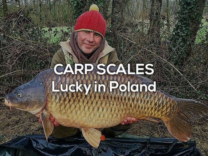Lucky Charms From Around The World (16 pics)