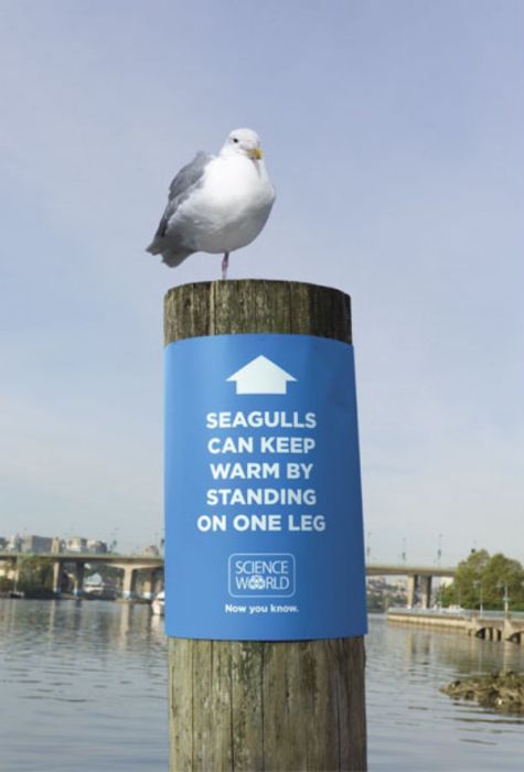 Great Science World Ads (32 pics)