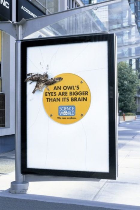 Great Science World Ads (32 pics)