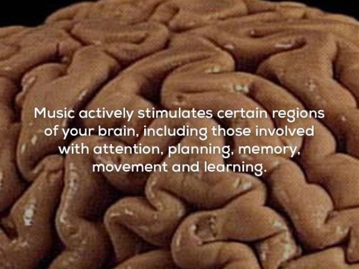 Interesting Facts About Music (20 pics)