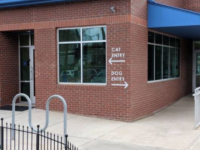 These People Are Smart (49 pics)