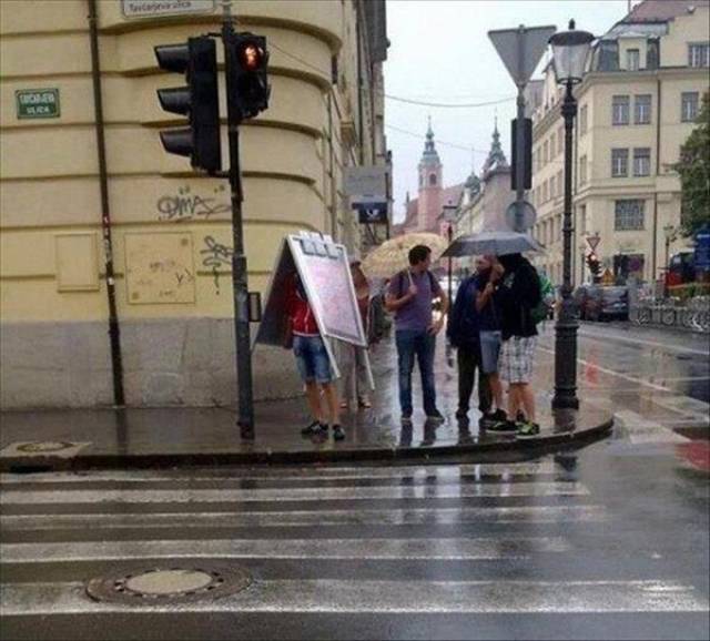These People Are Smart (49 pics)