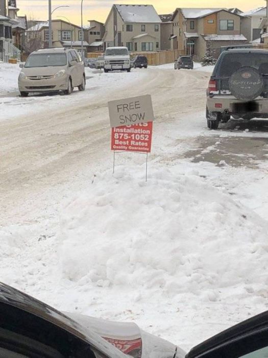 These People Are Smart (49 pics)