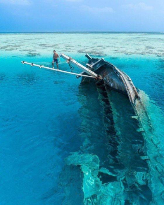 When A Picture Says More Than Just A Thousand Words (55 pics)