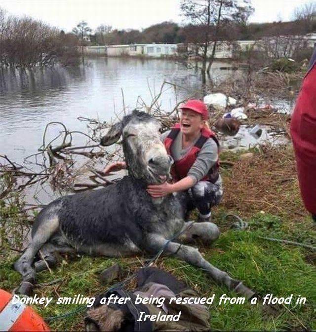 Acid Picdump (93 pics)
