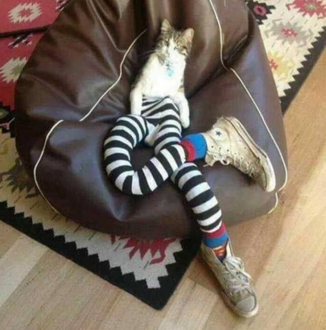 Acid Picdump (93 pics)