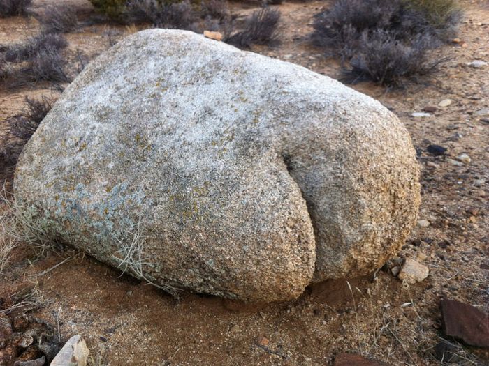 Things That Look Like Butts (20 pics)