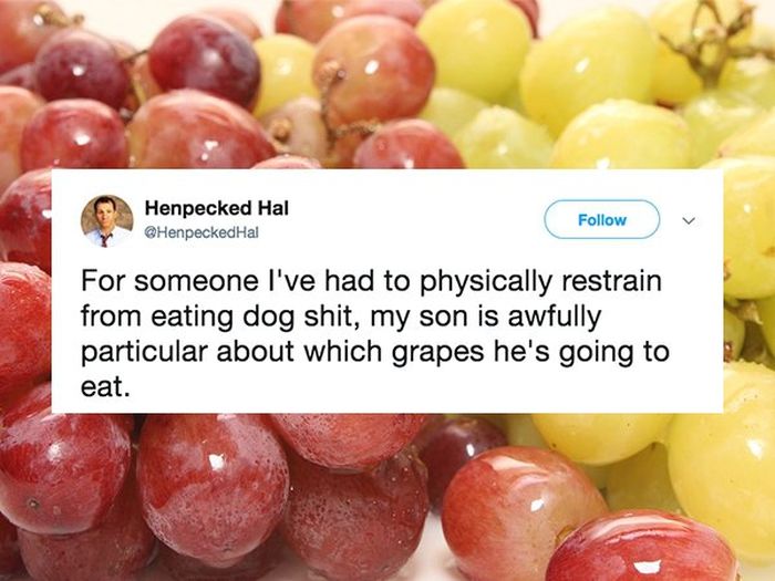 Dad Tweets (21 pics)