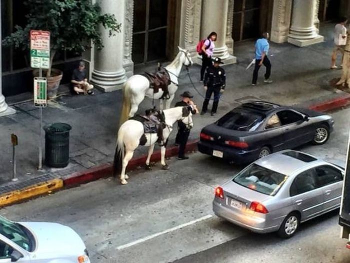 Differences Between Los Angeles And New York City (30 pics) Differences Between Los Angeles And New York City (30 pics)