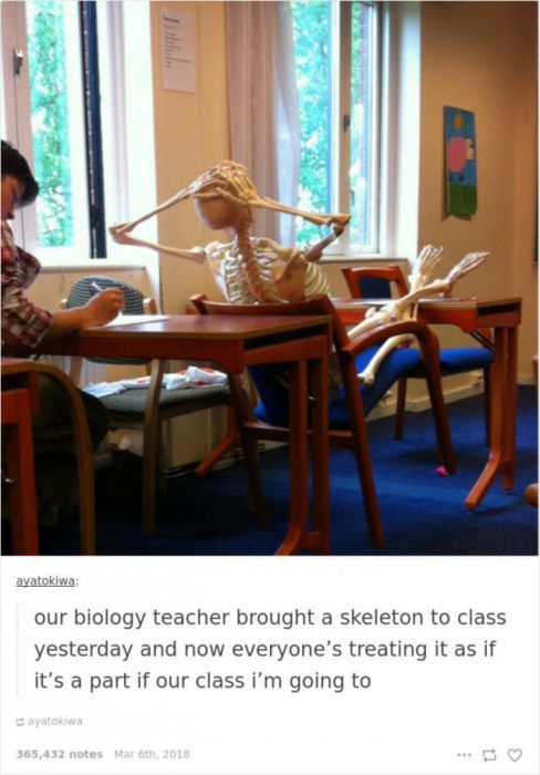 Awesome Professors Who Know How To Make Learning Process Funnier (30 pics)