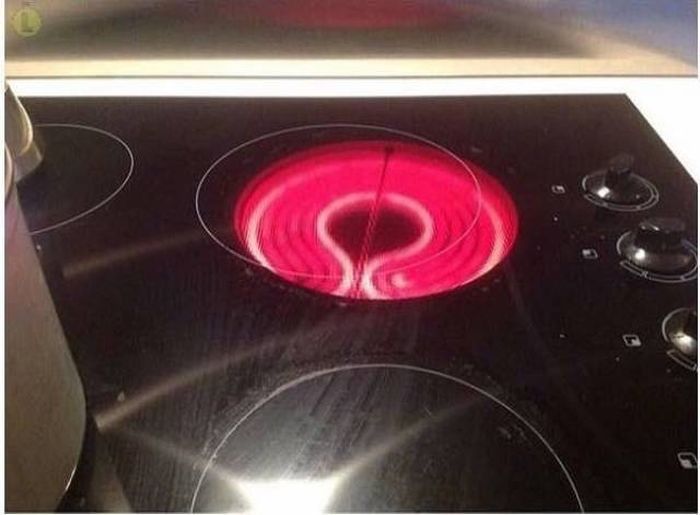 Looking At The Photos Can Hurt Your Feelings (43 pics)