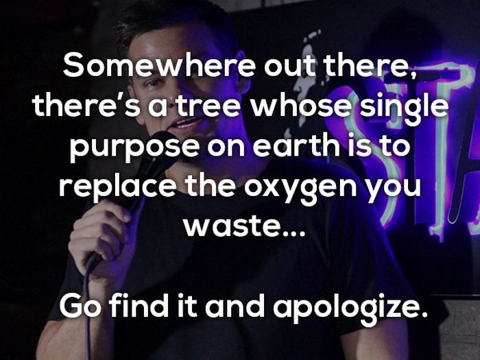 Insults Without The Cursing (17 pics)