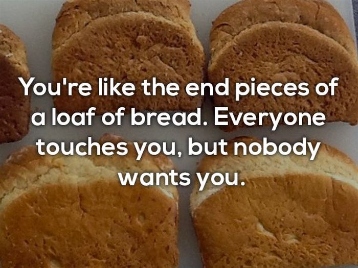 Insults Without The Cursing (17 pics)