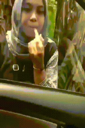 Acid Gifdump, March 21, 2018 (25 gifs)