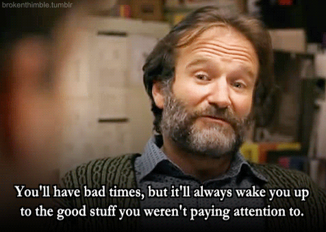 Robin Williams GIFs (16 gifs)