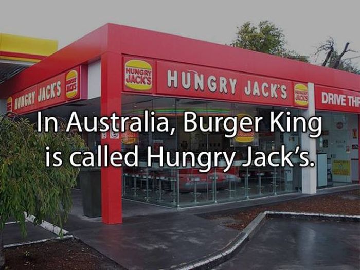Fun Facts About Burgers (15 pics)
