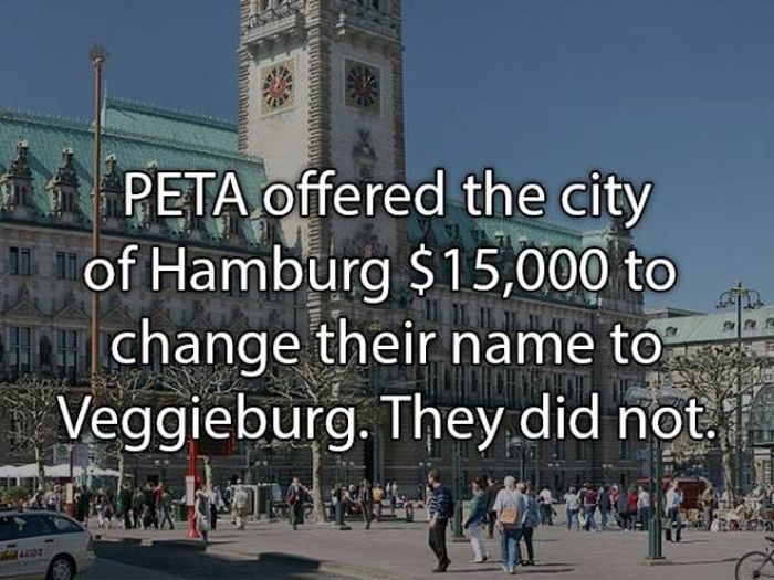 Fun Facts About Burgers (15 pics)