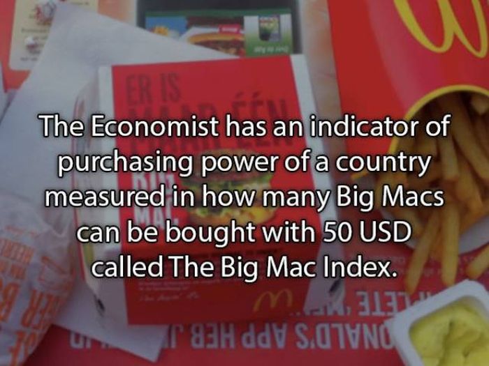 Fun Facts About Burgers (15 pics)