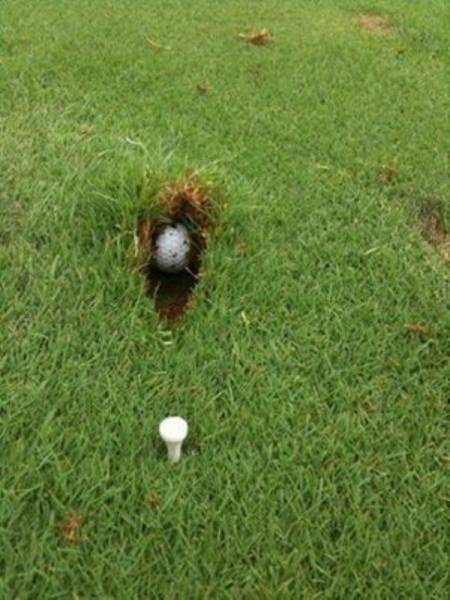 Funny And Interesting Pictures About Playing Golf (44 pics)