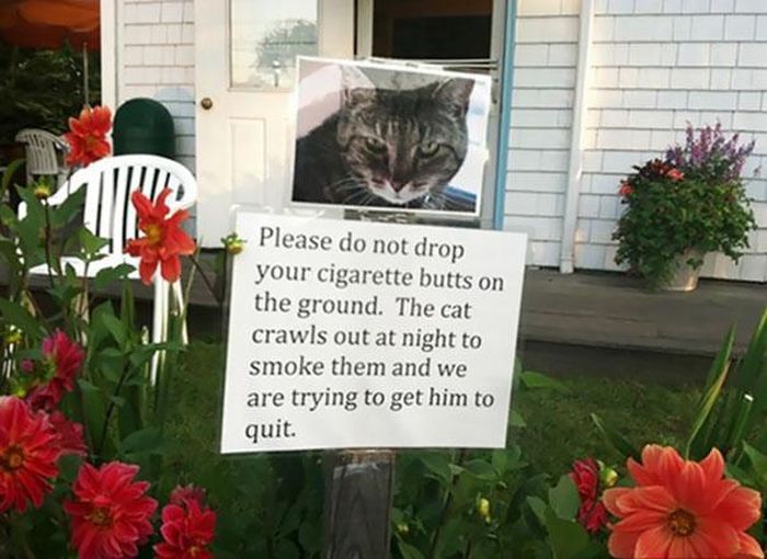 Passive-Aggressive Disputes By Neighbors (17 pics)