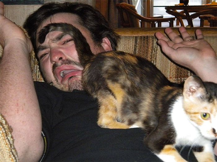 Cats Are Fun (19 pics)