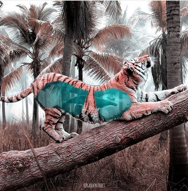 Photoshopped Animals (17 pics)