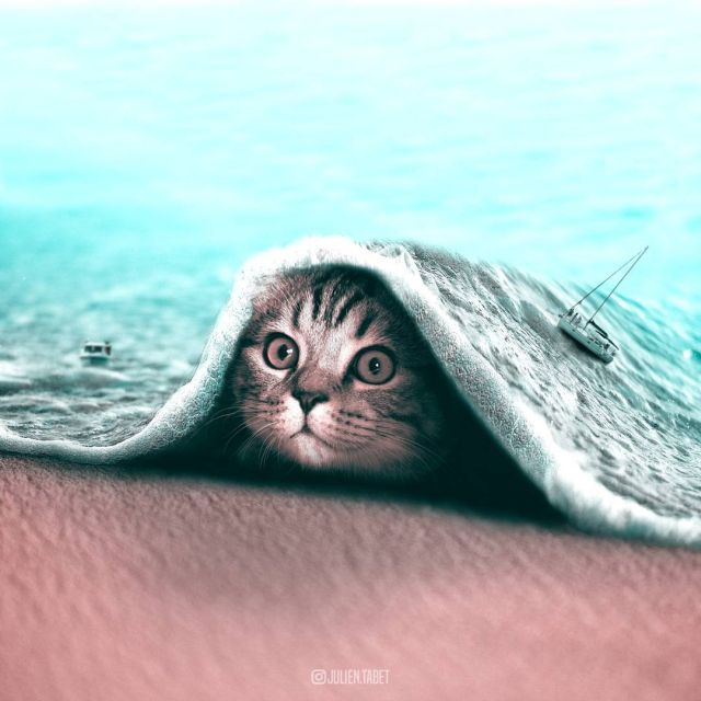 Photoshopped Animals (17 pics)