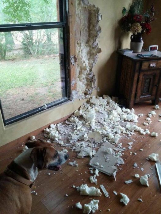 Acid Picdump (100 pics)