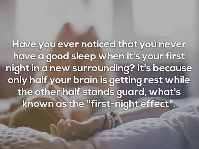 Interesting Facts (25 pics)