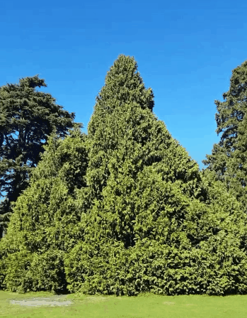 Acid Gifdump, March 28, 2018 (25 gifs)