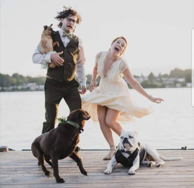 Funny And Unusual Wedding Photos (32 pics)