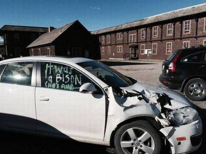 Acid Picdump (95 pics)