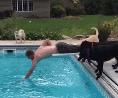 Acid Gifdump, March 29, 2018 (25 gifs)