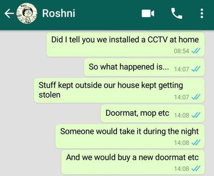 Some Thieves Have Absolutely Other Ideas In Mind (7 pics)
