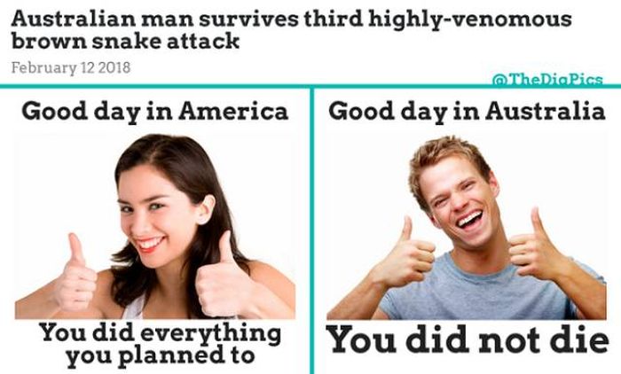 Welcome To Australia (33 pics)