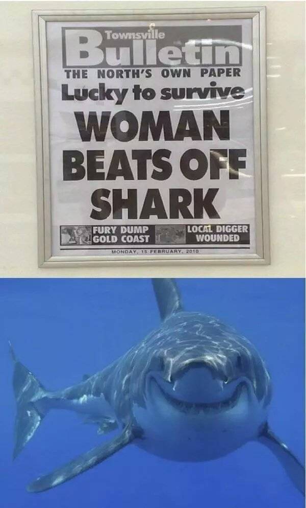 Welcome To Australia (33 pics)