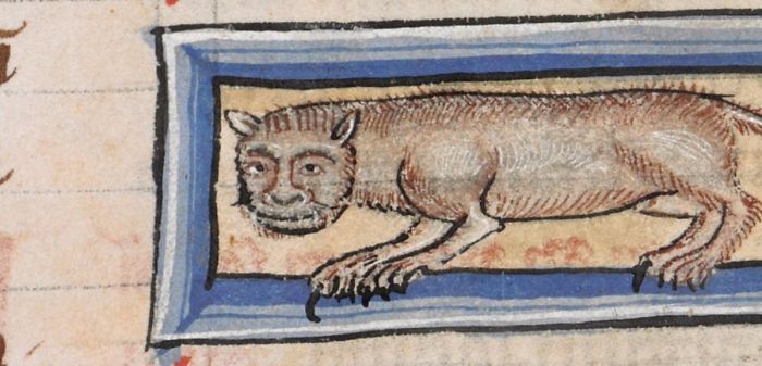 Medieval Cat Paintings (25 pics)