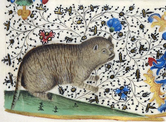 Medieval Cat Paintings (25 pics)