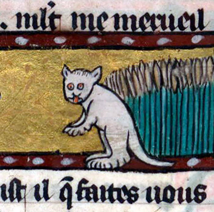 Medieval Cat Paintings (25 pics)