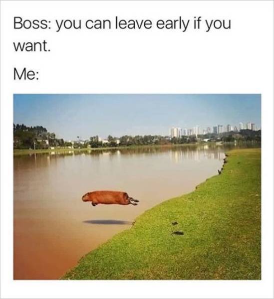 Work Memes And Fails (43 pics)
