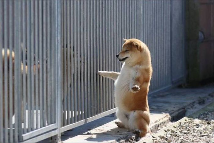 Acid Picdump (97 pics)