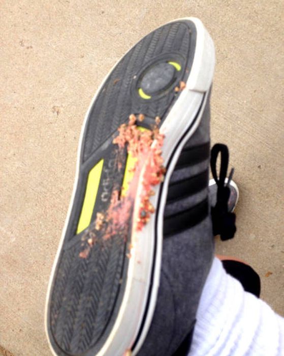 These People Don't Care About Other People (46 pics)