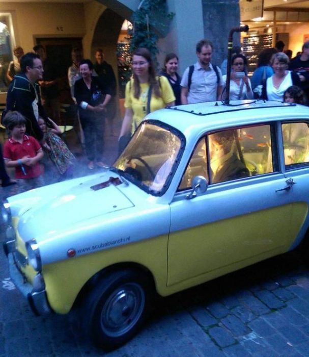 WTF Photos (42 pics)