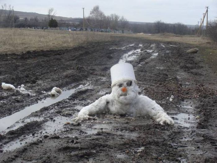 Acid Picdump (100 pics)