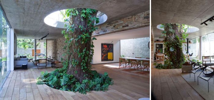 When Architects Didn't Want To Cut Down Trees (28 pics)